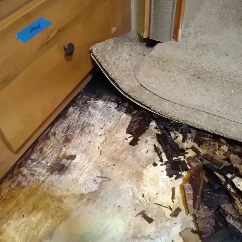 Best Wood Floor Water Damage Service in Houston County, TX